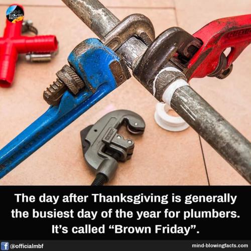 image_D45FCE6F-756C-4CBA-AE6E-5B3C821EB85F