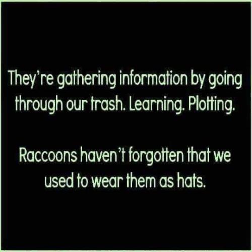 FB_IMG_1668106798409