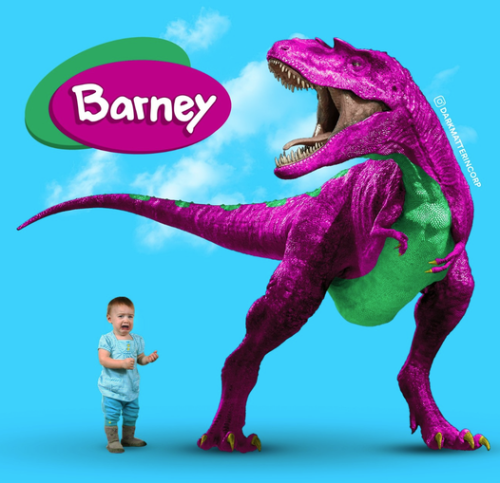 315041653_550198533583336_7649239815368100258_n