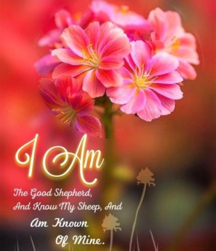 Screenshot_20221106_063740_Pinterest