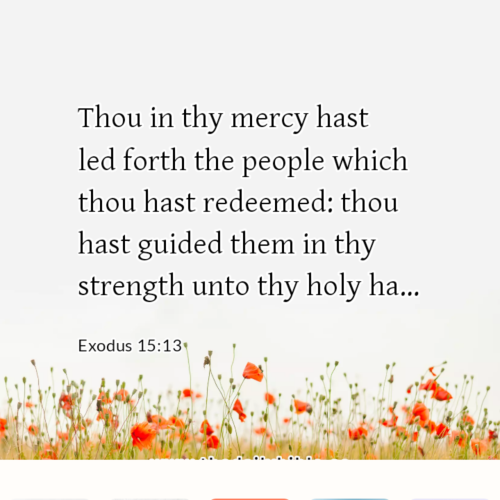 dailybible_20221119-161122_Exodus_15-13