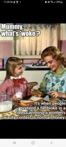 FB_IMG_1668452949692