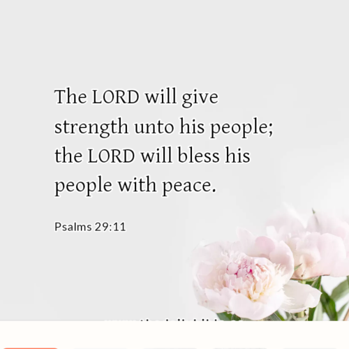 dailybible_20221104-164101_Psalms_29-11