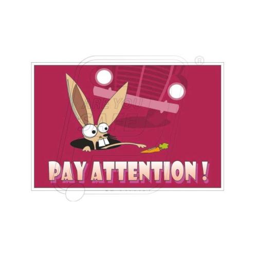 pay attention 1