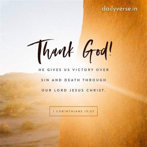 FB_IMG_1669547267937