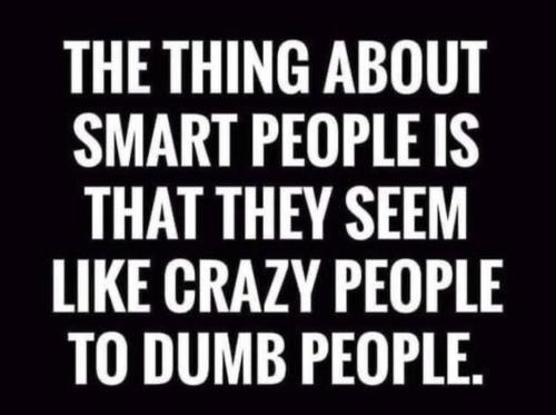 Screenshot_2022-11-11-02-24-47-69_1c337646f29875672b5a61192b9010f9