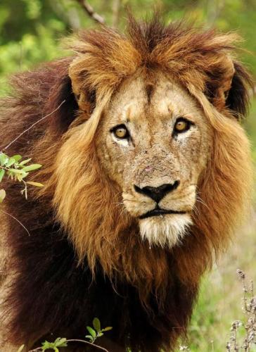 316293560_577645280833080_8597505352817304223_n