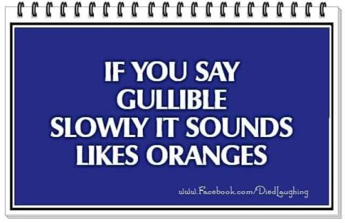 FB_IMG_1667583224380