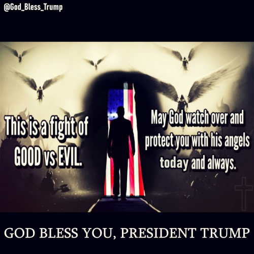 Trump 8