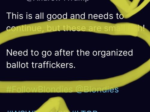 Ballot Traffickers 1