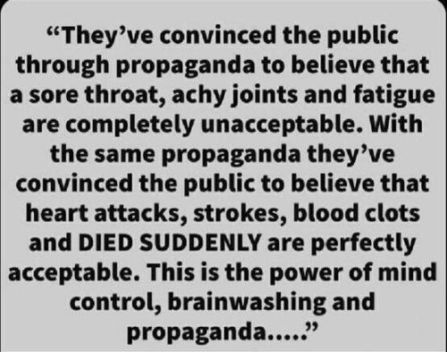 9C19CC2A-0756-4C50-A6F6-D15AC47A46C6-61063-00000BCB7D37C3E4