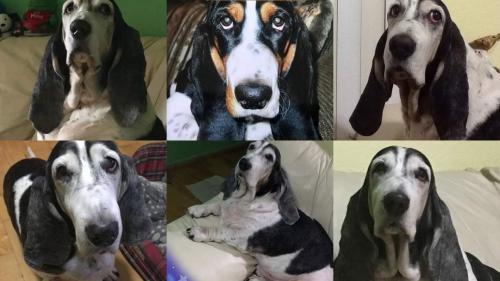 FB_IMG_1669320390711