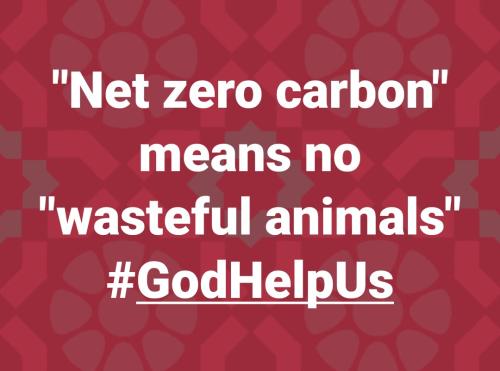 12:01:30 GMT-0500 (EST)