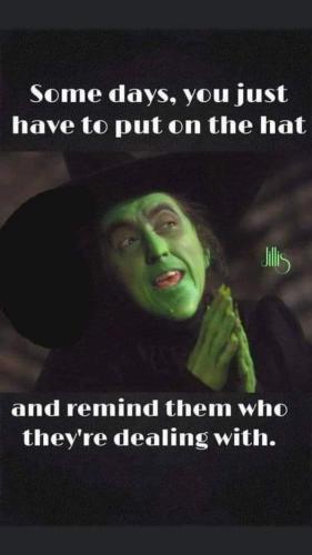 FB_IMG_1668045701657