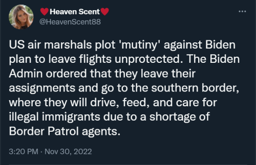 US Air Marshals 1