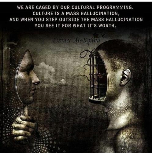 Screenshot_2022-11-11-01-08-57-88_1c337646f29875672b5a61192b9010f9