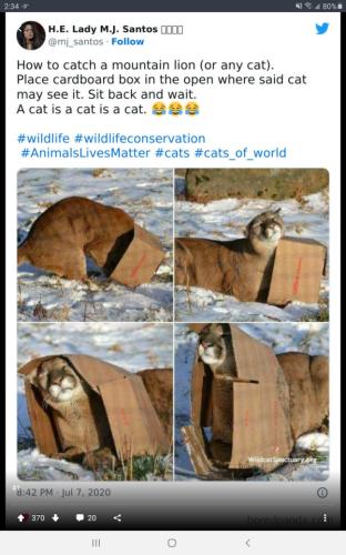 wqe9m93lrnkmzrss2v4k2hcaqw4yml9p