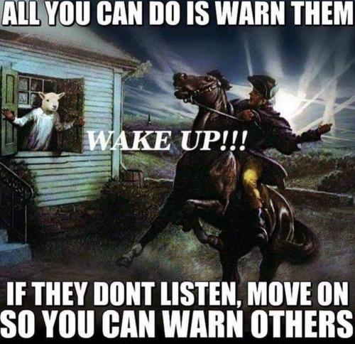 FB_IMG_1667438531786