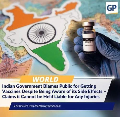 FB_IMG_1669851910243