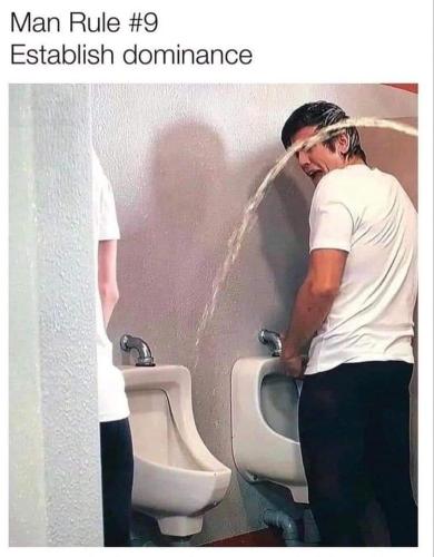 FB_IMG_1667667931358