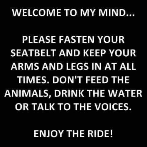 FB_IMG_1668739580331