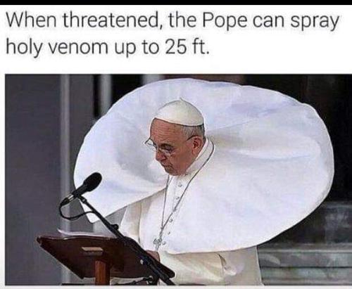 FB_IMG_1669830925285