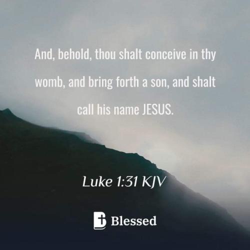 FB_IMG_1668479501618