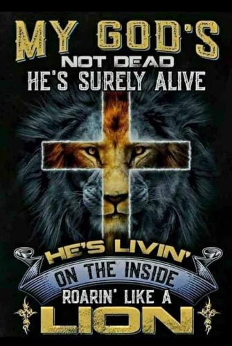 FB_IMG_1669164019546