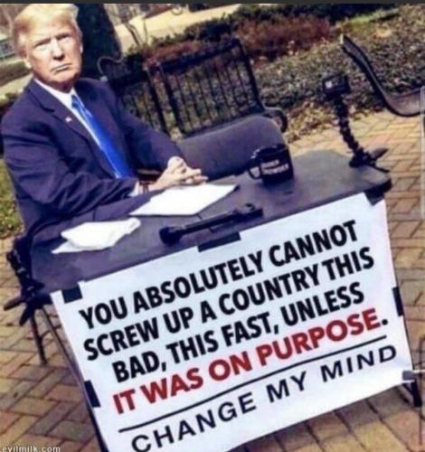 1667581875125