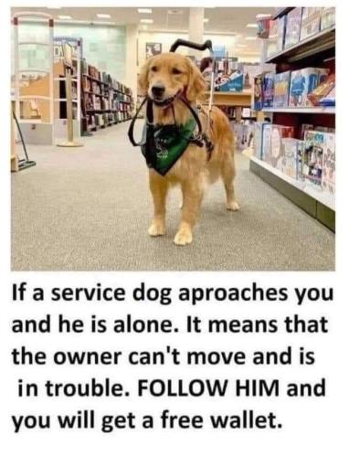 FB_IMG_1667849196359