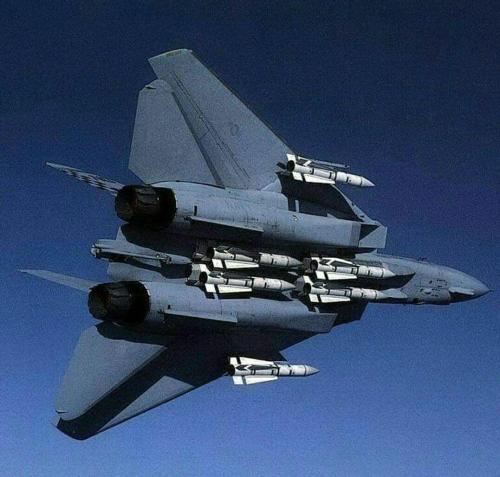 313414470_449397544005153_5510037910131838052_n