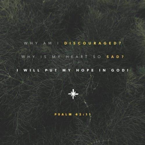 10:36:18 GMT-0400 (EDT)