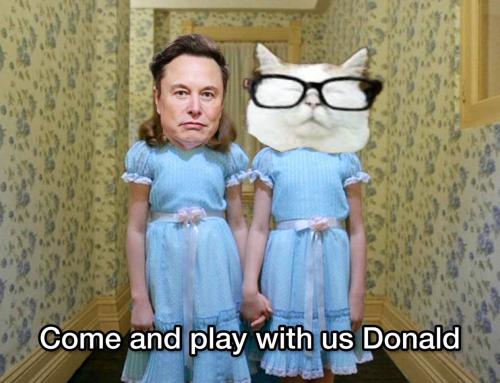 photo_2022-11-22_22-48-52