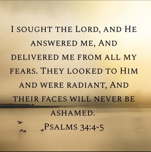 Screenshot_20221110-072231_Bible