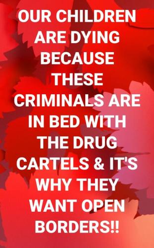 cartels me