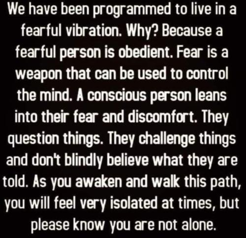 Screenshot_2022-11-11-01-54-13-73_1c337646f29875672b5a61192b9010f9