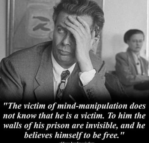 Screenshot_2022-11-11-03-11-49-67_1c337646f29875672b5a61192b9010f9