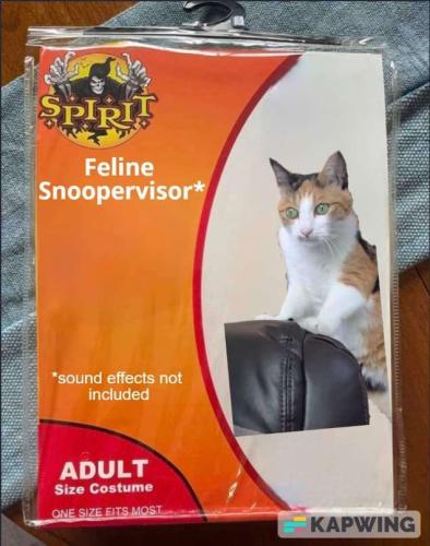 bf3ca7d4-3a92-42d1-8c19-46235aa4de71