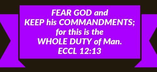 08:11:31 GMT-0400 (EDT)