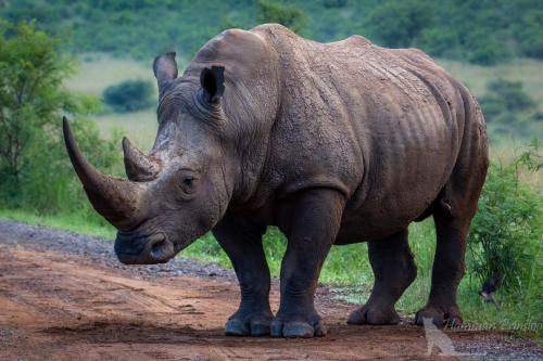 316127138_3061697600652457_776656744597472804_n