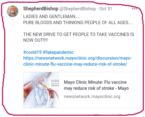 snapshot_www.minds.com_1667603202390