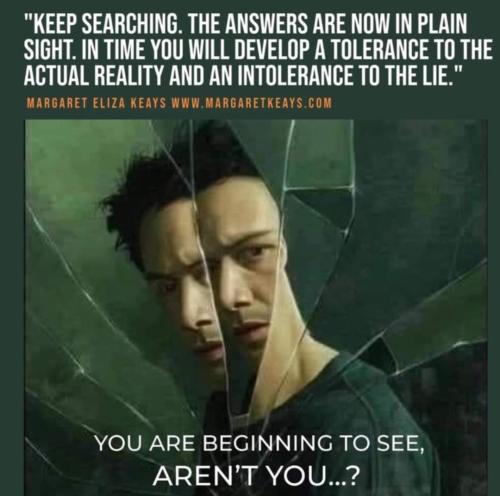 Screenshot_2022-11-11-02-29-00-21_1c337646f29875672b5a61192b9010f9