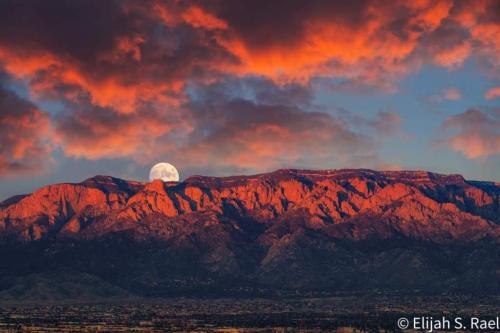 203ef5a9-f6de-4301-a00c-6a886660ab03