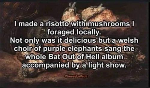 FB_IMG_1667326077908