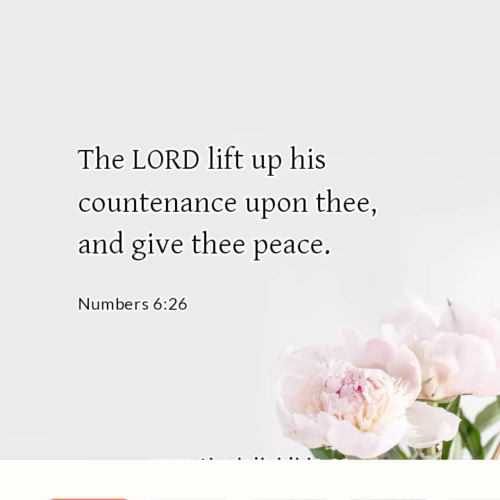 dailybible_20221121-201551_Numbers_6-26