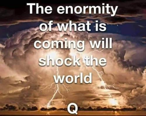 FB_IMG_1668619357319