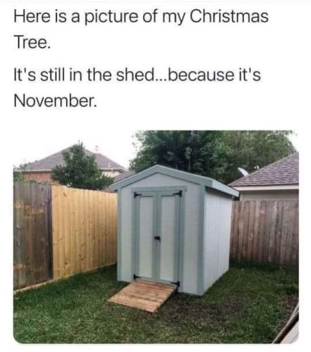 FB_IMG_1667592601232