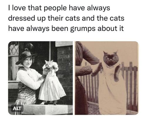 Screenshot_20221126_210834