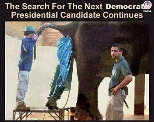 next dem candidate me