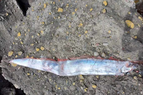 315504444_428208056176454_8640740158551373205_n